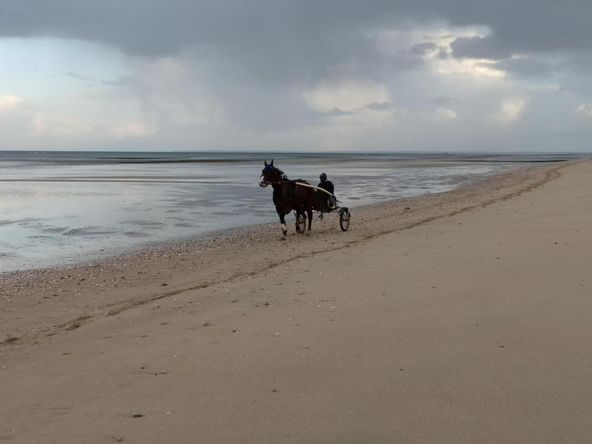 Gites "Plage" Ou "Pieds Dans L'Eau" En Front De Mer A Asnelles , 3Km D'Arromanches, 10Km De Bayeux Eksteriør billede